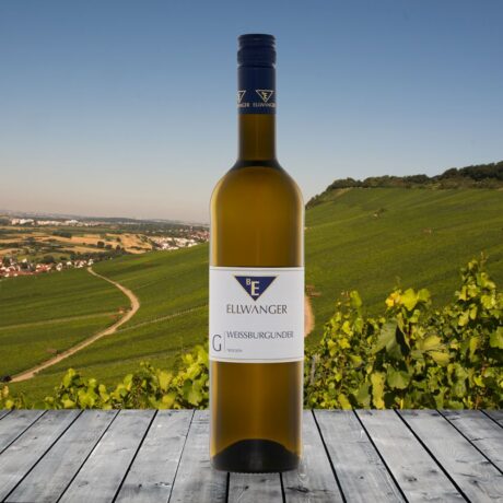 2023er<br>WEISSBURGUNDER <br>»Gutswein«<br>trocken<br>mit Link zur Verkostung