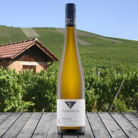 2022er<br>RIESLING SL<br>Großheppacher Steingrüble<br>trocken