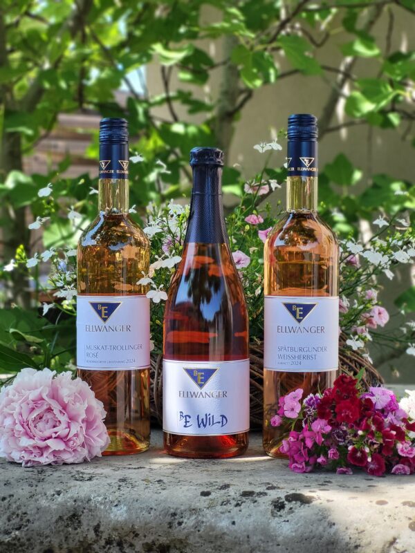 Rosé Rendezvous<br>Sommerpaket Rosé halbtrocken
