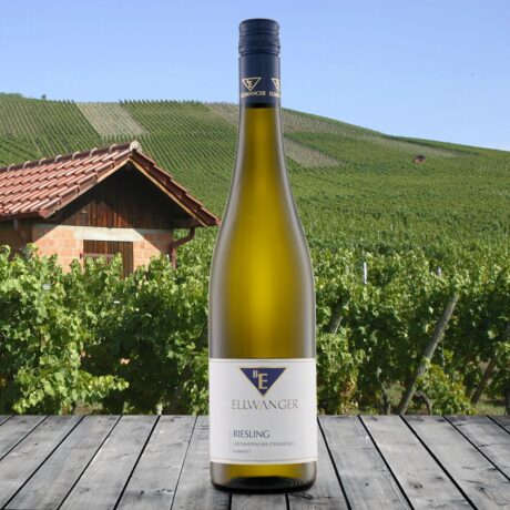 2024er<br>RIESLING<br>Großheppacher Steingrüble<br>Kabinett<br>91 Punkte Falstaff Trophy feinherb