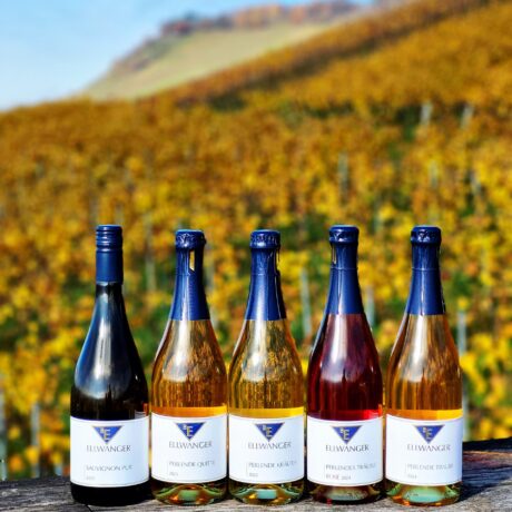 Probierpaket Alkoholfrei