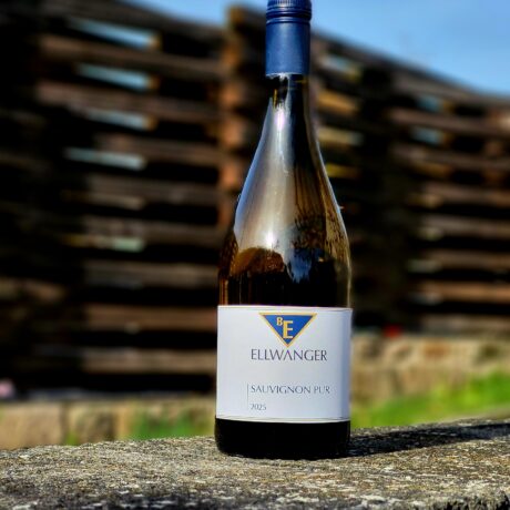 2025er<br>SAUVIGNON PUR<br>Alkoholfrei