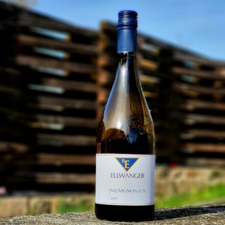 2025er<br>SAUVIGNON PUR<br>Alkoholfrei